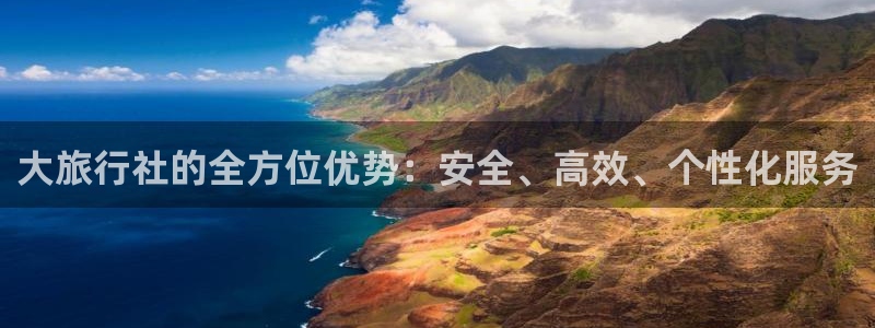 海角社区分享：大旅行社的全方位优势：安全