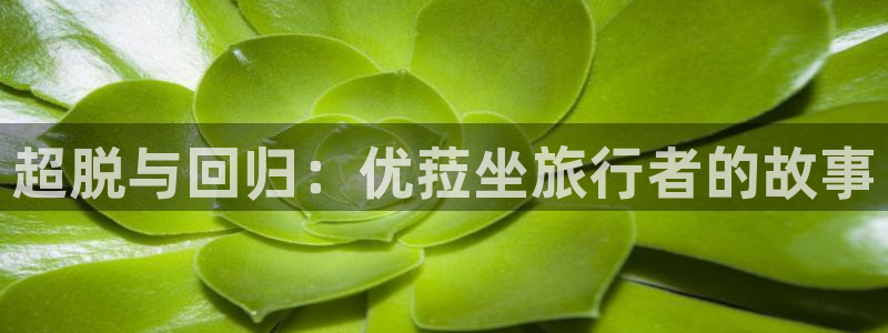 海角社区母子乱：超脱与回归：优菈坐旅行者