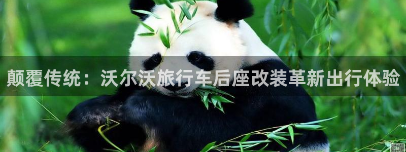 海角社区 破解版：颠覆传统：沃尔沃旅行车