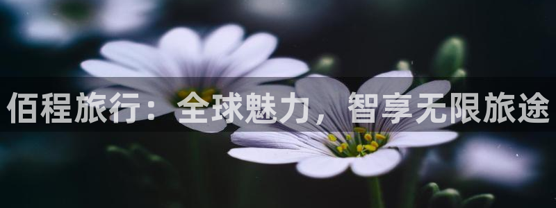 l海角社区：佰程旅行：全球魅力，智享无限